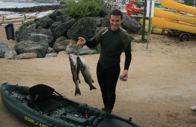 Seebarsche bei St-Jean-de-Luz gefangen